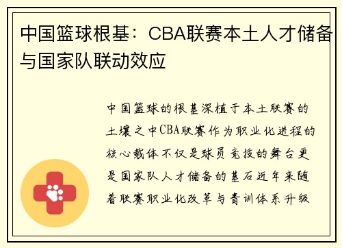 中国篮球根基：CBA联赛本土人才储备与国家队联动效应